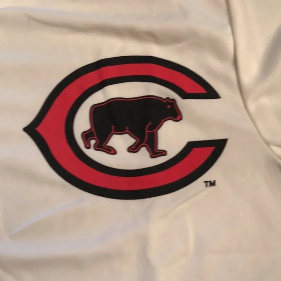 Chicago Bears Vintage Jersey - Picture 4 of 7